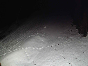 Ski areál SEVERKA v Dolní Lomné - Sjezdovka SEVERKA - 3.4.2026 v 01:15