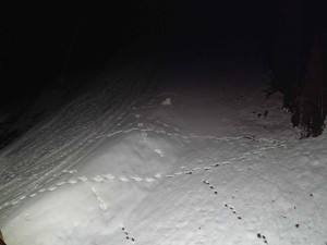 Ski areál SEVERKA v Dolní Lomné - Sjezdovka SEVERKA - 3.4.2026 v 01:35