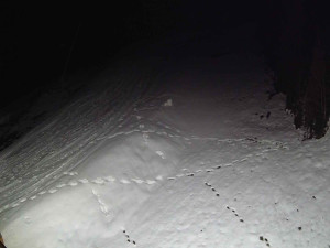 Ski areál SEVERKA v Dolní Lomné - Sjezdovka SEVERKA - 3.4.2026 v 02:05