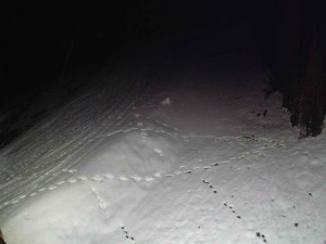 Ski areál SEVERKA v Dolní Lomné - Sjezdovka SEVERKA - 3.4.2026 v 02:35