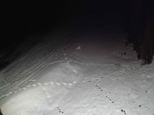 Ski areál SEVERKA v Dolní Lomné - Sjezdovka SEVERKA - 3.4.2026 v 03:00