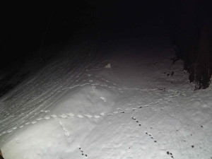 Ski areál SEVERKA v Dolní Lomné - Sjezdovka SEVERKA - 3.4.2026 v 03:55