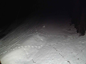 Ski areál SEVERKA v Dolní Lomné - Sjezdovka SEVERKA - 3.4.2026 v 04:55