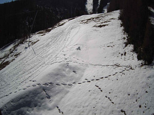 Ski areál SEVERKA v Dolní Lomné - Sjezdovka SEVERKA - 3.4.2026 v 10:55