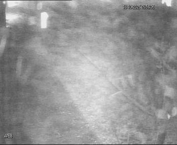 Snímek    16.10.2025 v 06:00