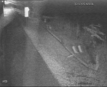 Snímek    26.10.2025 v 19:00