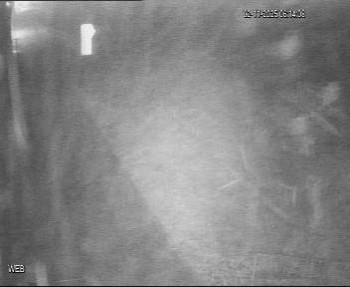 Snímek    2.11.2025 v 05:15