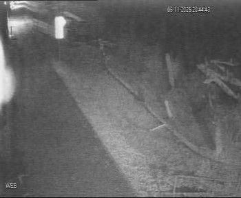 Snímek 6.11.2025 v 19:45