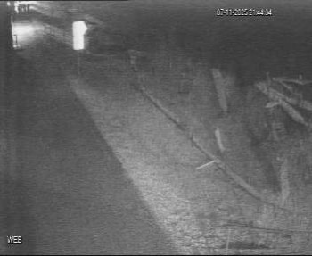 Snímek 7.11.2025 v 20:45