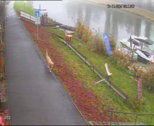 Baťův kanál - Přístaviště Hodonín - 17.11.2025 v 07:45 Baťův kanál - Přístaviště Hodonín - 17.11.2025 v 07:45