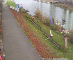 Přístaviště Hodonín