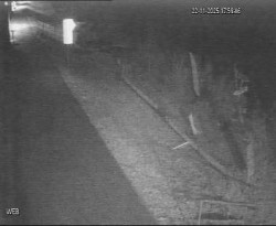 Přístaviště Hodonín