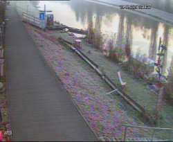 Přístaviště Hodonín