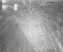 Přístaviště Hodonín 