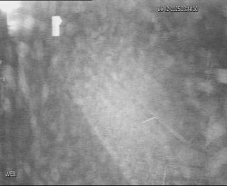 Přístaviště Hodonín