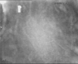 Přístaviště Hodonín