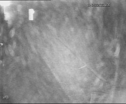 Přístaviště Hodonín