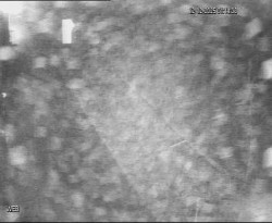 Přístaviště Hodonín