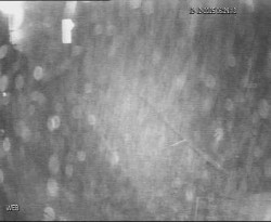 Přístaviště Hodonín 