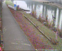 Přístaviště Hodonín 