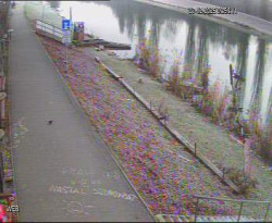 Přístaviště Hodonín 