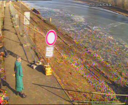 Přístaviště Hodonín 