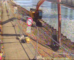 Přístaviště Hodonín 