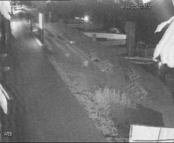 Baťa-Kanal