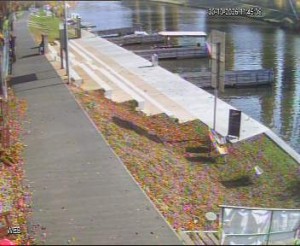 Baťa-Kanal - Hafen Hodonín - 30.10.2026 v 10:45