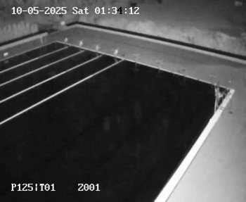 Snímek    10.5.2025 v 01:30