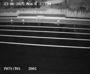 Koupaliště Petynka - Hlavní bazén - 23.6.2025 v 00:45