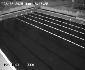 Koupaliště Petynka - Hlavní bazén - 23.6.2025 v 03:45