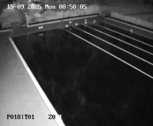 Koupaliště Petynka - Hlavní bazén - 15.9.2025 v 00:45