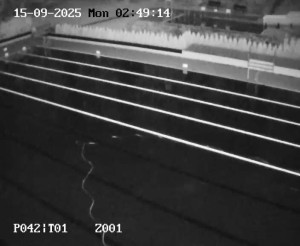 Koupaliště Petynka - Hlavní bazén - 15.9.2025 v 02:45
