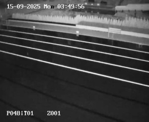Koupaliště Petynka - Hlavní bazén - 15.9.2025 v 03:45