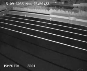 Koupaliště Petynka - Hlavní bazén - 15.9.2025 v 05:45