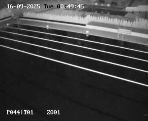 Koupaliště Petynka - Hlavní bazén - 16.9.2025 v 00:45