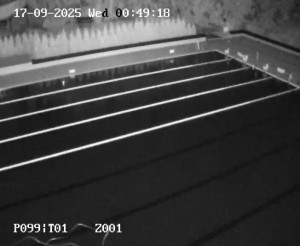 Koupaliště Petynka - Hlavní bazén - 17.9.2025 v 00:45