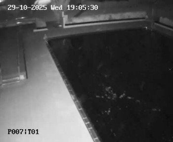 Snímek    29.10.2025 v 18:00