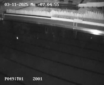 Snímek    3.11.2025 v 06:00