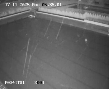 Snímek 17.11.2025 v 04:30