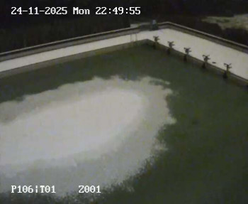 Koupaliště Petynka