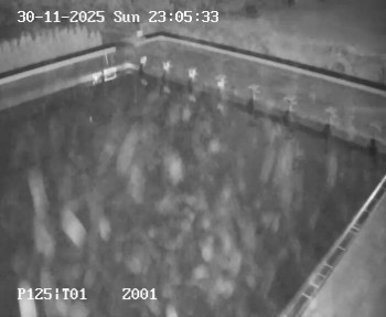 Koupaliště Petynka