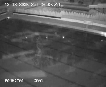 Koupaliště Petynka