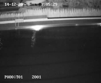 Koupaliště Petynka