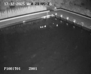 Koupaliště Petynka