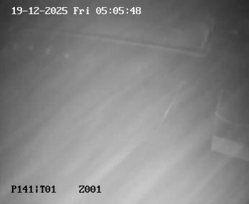 Koupaliště Petynka