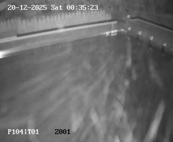 Koupaliště Petynka