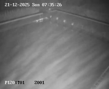 Koupaliště Petynka