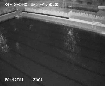 Koupaliště Petynka